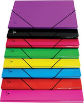 CARPETA FOLIO GOMAS SOLAPA CARTON FORRADO MERIDA SURTIDO | 8 UNIDADES | (MANIPULADOS MARIOLA S,L,)